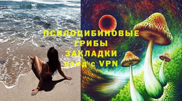 мяу мяу мука Новозыбков