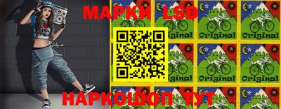 PSILOCYBIN Бугуруслан