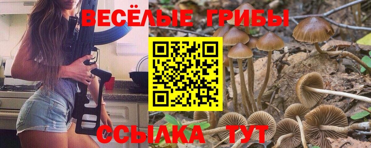 Псилоцибиновые грибы мицелий Ялуторовск