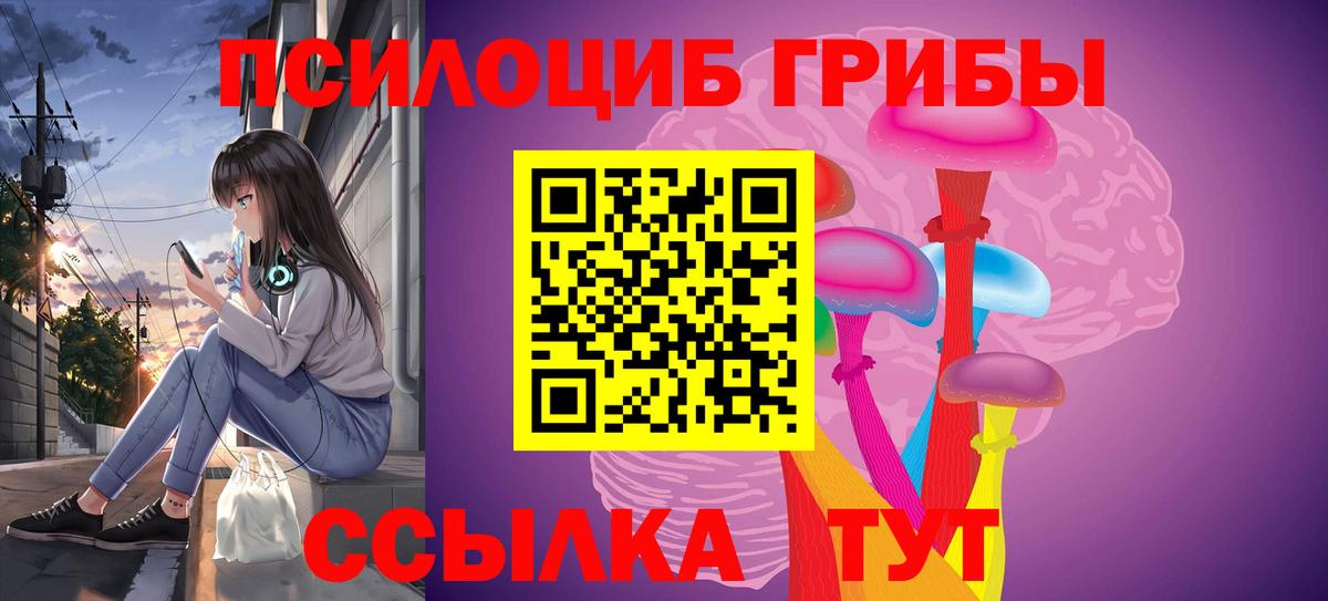 Галлюциногенные грибы мицелий  Ялуторовск  Галлюциногенные грибы мицелий 