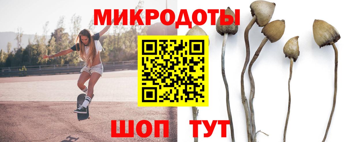 Псилоцибиновые грибы прущие грибы  Вход с VPN  Ялуторовск 